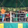 Hei Pasoep: Milieuhappening Ecodroom (10 okt 04) Rivierenhof Deurne